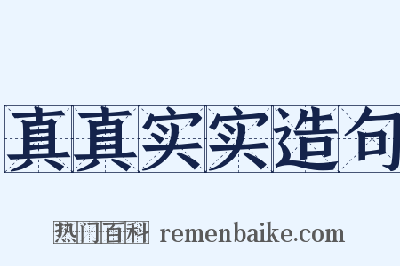 真真实实造句是什么意思的图片